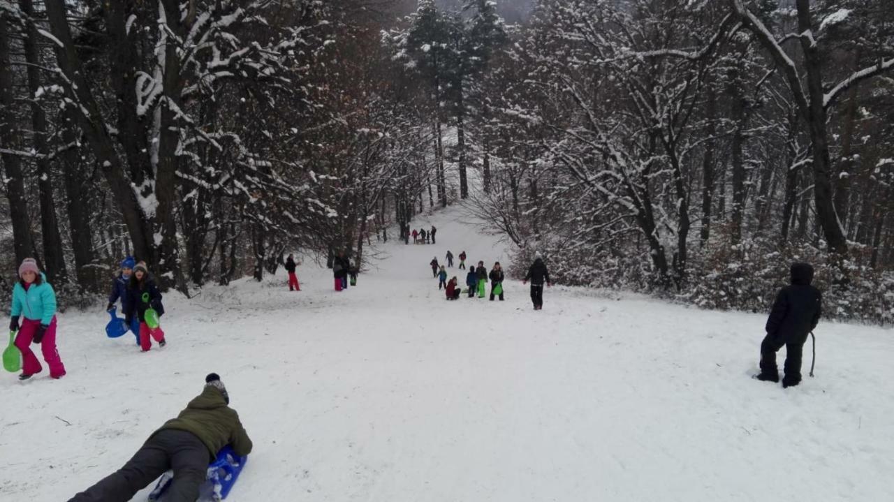 Parc de vacanță Park Brașov