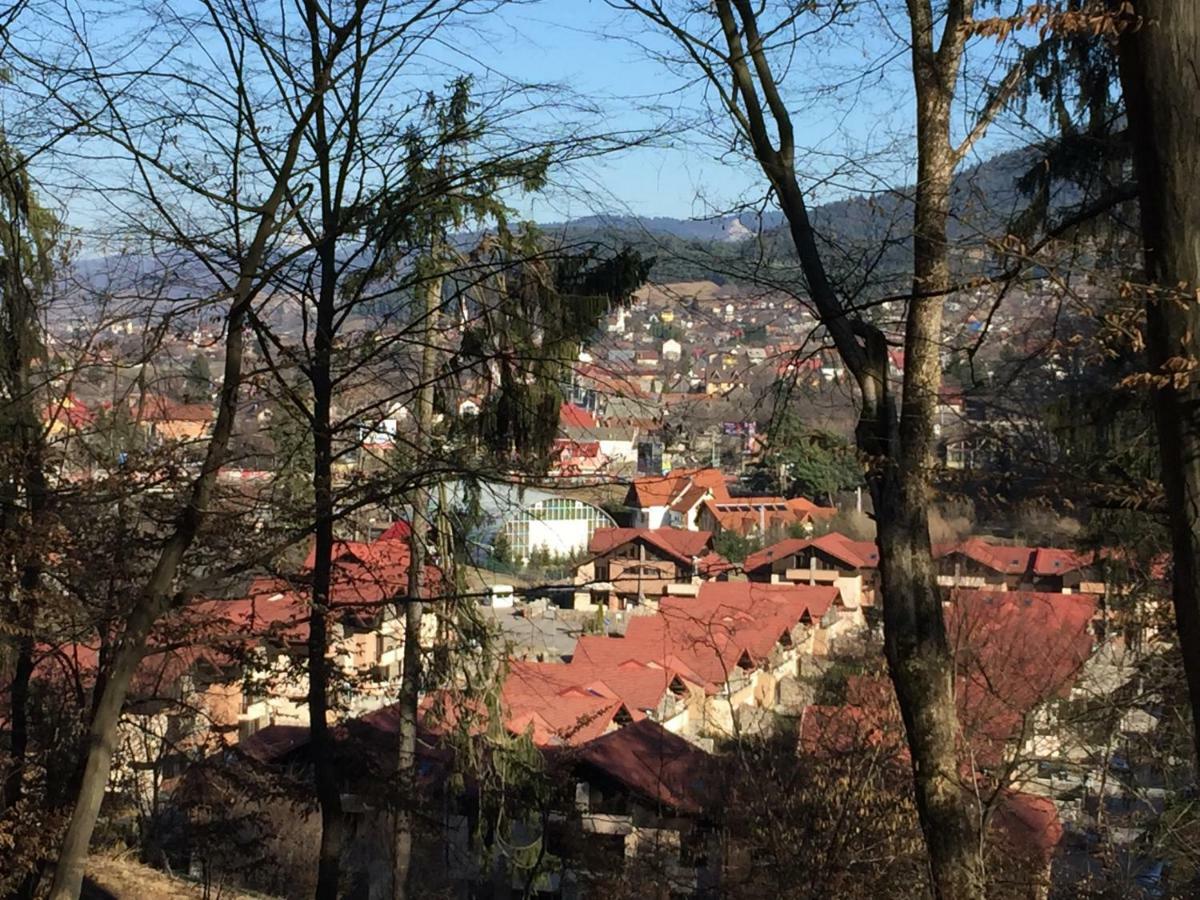 Park Brașov