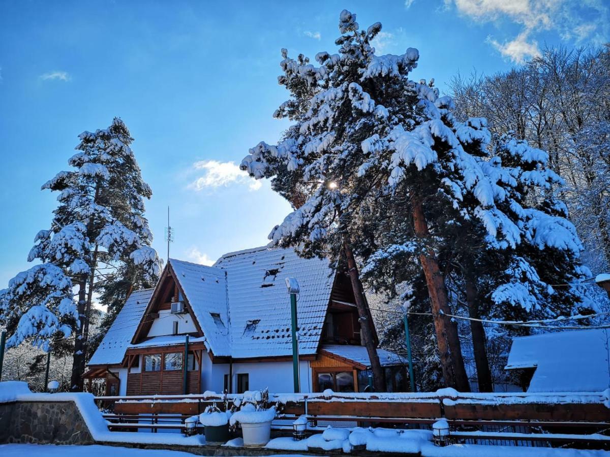 Park Parc de vacanță